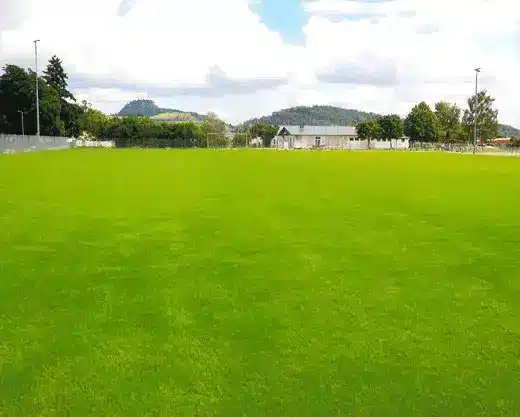 Wir können Markus Grüner und sein Team nur weiterempfehlen.