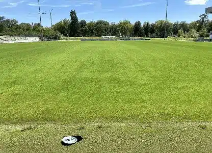 Nach der Sanierung durch Markus Grüner ist dein Rasen gepflegt und lückenlos.